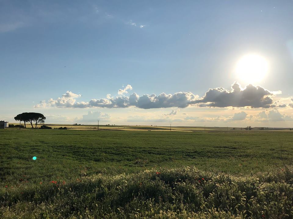 Pensamientos de junio: un vestido sutil que querréis proteger