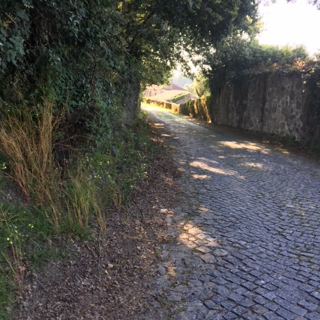 Pensamientos de julio: consciencia universal