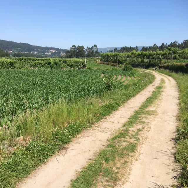 Pensamientos de julio: así como damos, así Dios nos da…