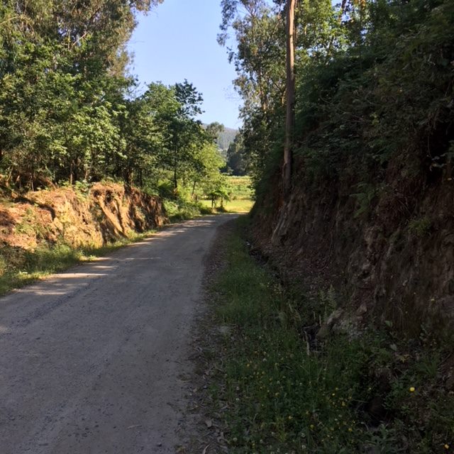 Pensamientos de julio: aportar algo hermoso, poético, musical