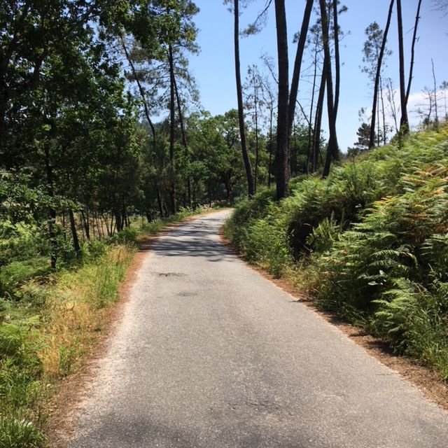 Pensamientos de julio: es con el mundo divino con el que debemos sin cesar intentar armonizarnos