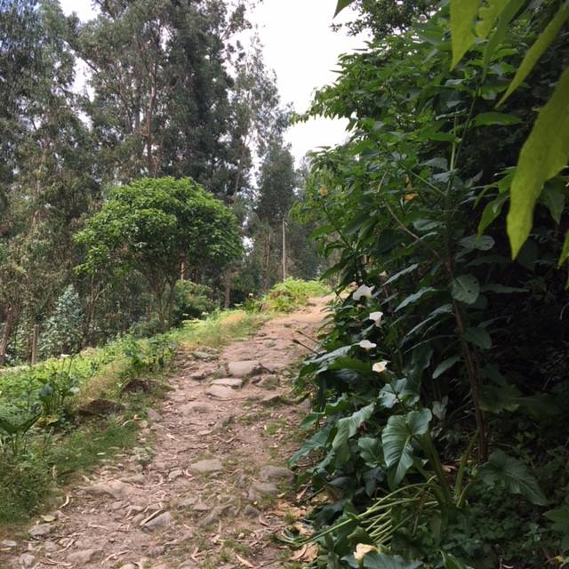 Pensamientos de julio: sed de infinito y de eternidad