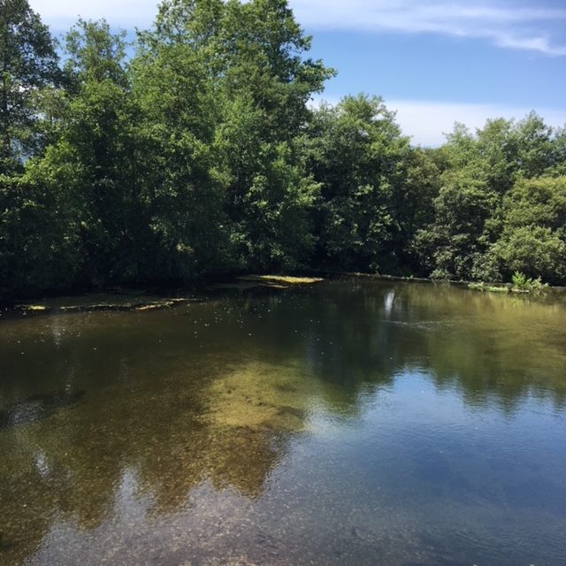 Pensamientos de julio: os sentiréis enriquecidos…