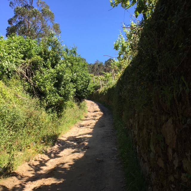 Pensamientos de julio: aprended a concentrar vuestra atención…