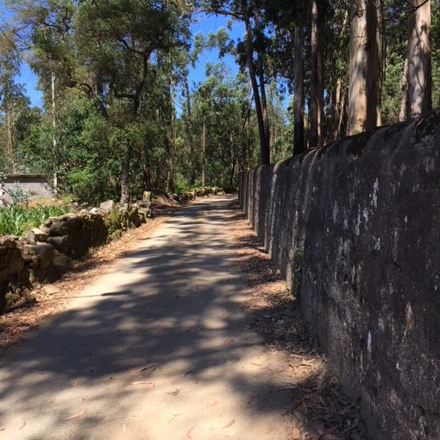 Pensamientos de julio: entrar en contacto con el universo entero