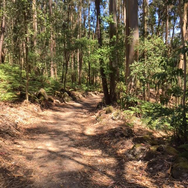 Pensamientos de julio: el único alimento capaz de saciar nuestra alma