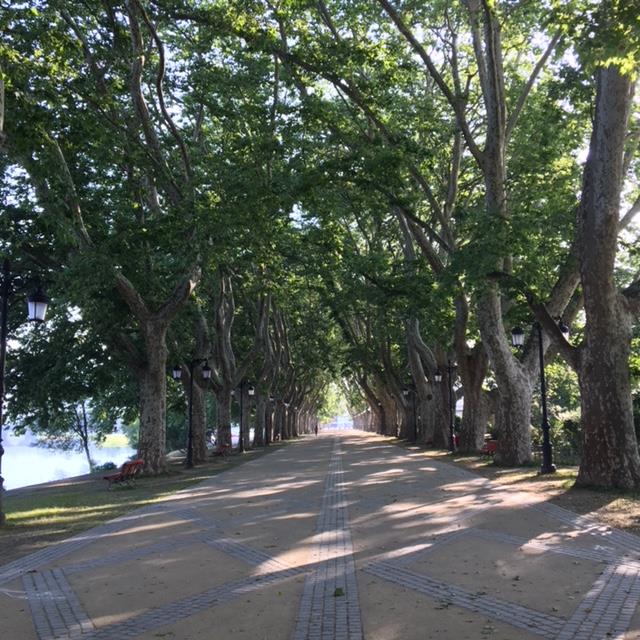 Pensamientos de agosto: el antídoto es todavía más potente…