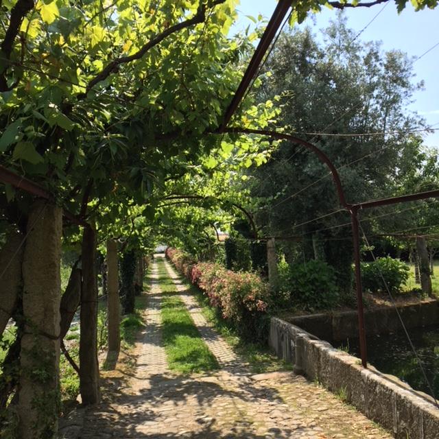 Pensamientos de agosto: la serenidad, la lucidez, la fuerza…