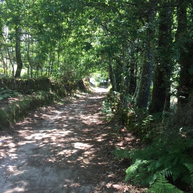 Pensamientos de agosto: elevarse hacia las regiones espirituales