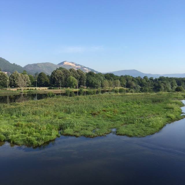 Pensamientos de agosto: volveréis a vuestra casa felices…