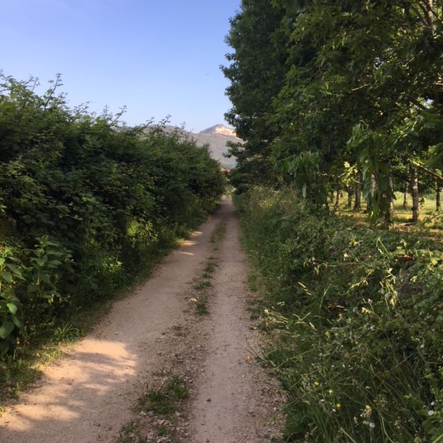 Pensamientos de agosto: hacéis brotar una fuente de energías extremadamente poderosas