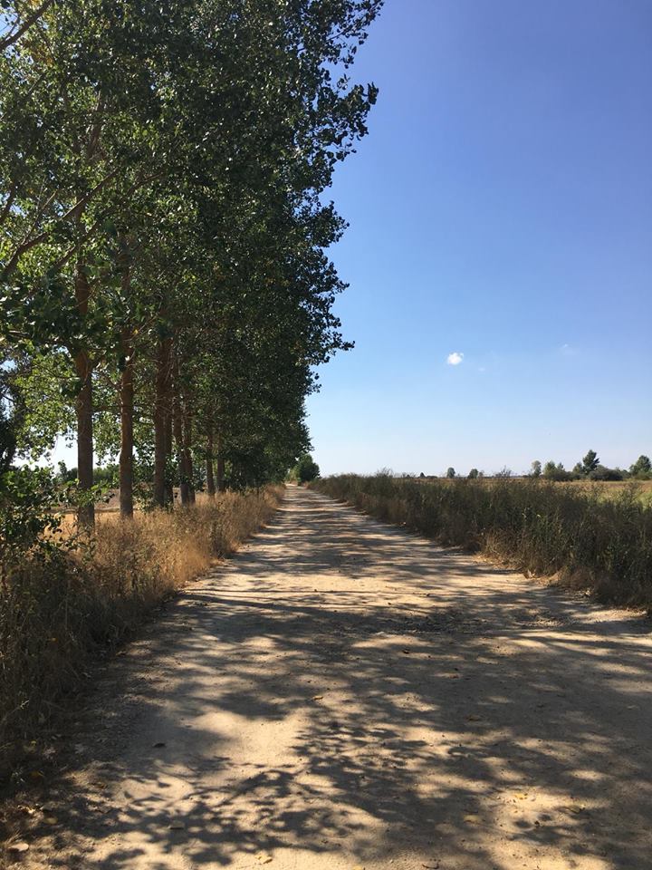 Pensamientos de septiembre: hacer del día de hoy algo más útil, más bello, más precioso