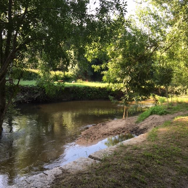 Pensamientos de septiembre: vigilar vuestros pensamientos, vuestros sentimientos…