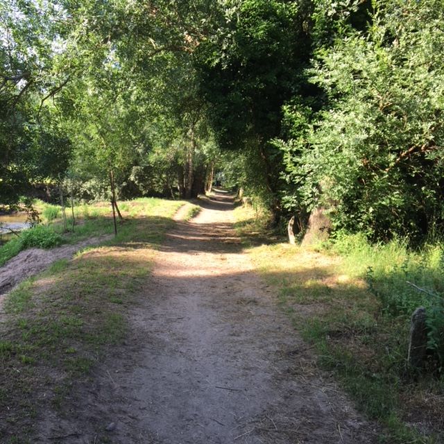 Pensamientos de septiembre: una cosecha de luz y de felicidad