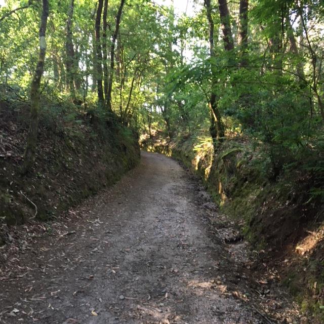 Pensamientos de septiembre: viviréis en la luz y os identificaréis, finalmente, con vuestro Yo divino