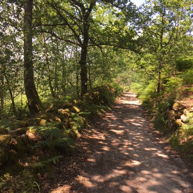 Pensamientos de septiembre: tomad esa dificultad y comparadla con todo lo que poseéis…