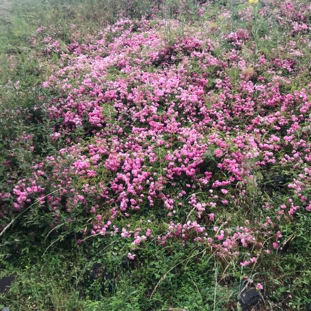 Pensamientos de octubre: un manantial que inunda todas vuestras células