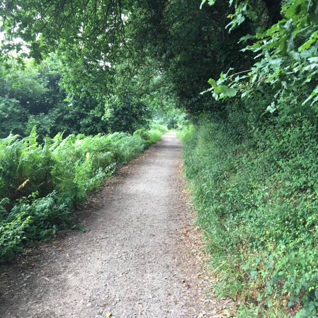 Pensamientos de octubre: dirigir las fuerzas hacia una dirección luminosa