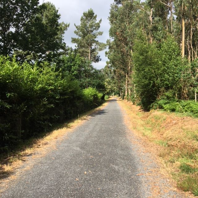 Pensamientos de octubre: una quintaesencia que impregna toda la materia de su ser…