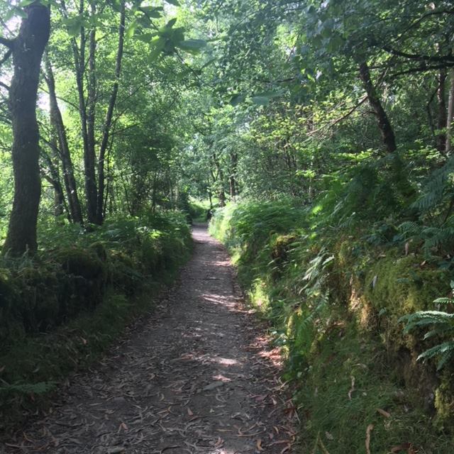 Pensamientos de octubre: en la región del espíritu…