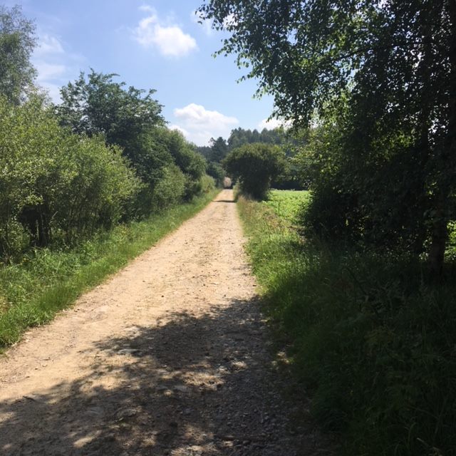 Pensamientos de octubre: fuerzas poderosas se desencadenarán