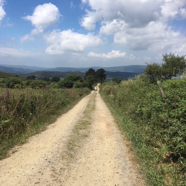 Pensamientos de octubre: armonizaros con el mundo divino…