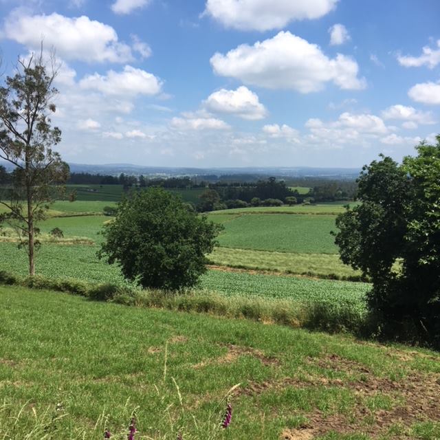 Pensamientos de octubre: abarcar con el pensamiento el universo entero