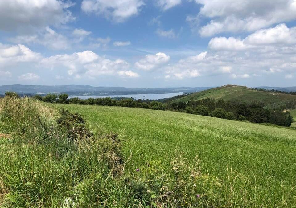 Pensamientos de octubre: …crearéis por todas partes un mundo nuevo