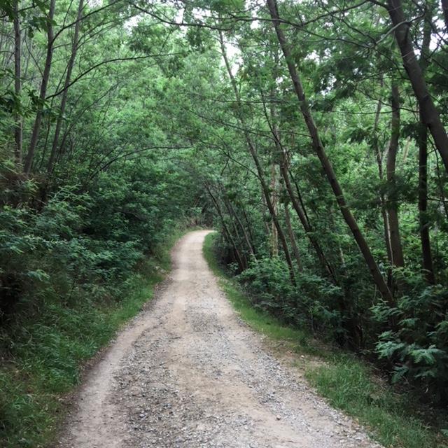 Pensamientos de octubre: acercarse un poco más a la verdad