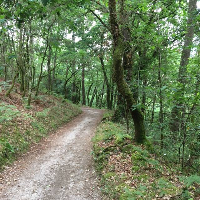 Pensamientos de octubre: ese espacio de luz en el que estamos destinados a vivir