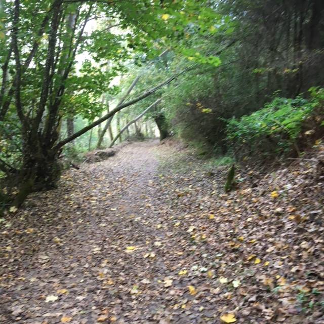 Pensamientos de octubre: alimentar vuestra alma y vuestro espíritu…