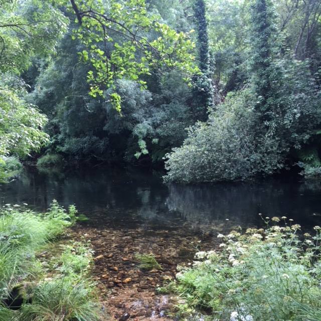 Pensamientos de octubre: podéis ser de un valor extraordinario, único…