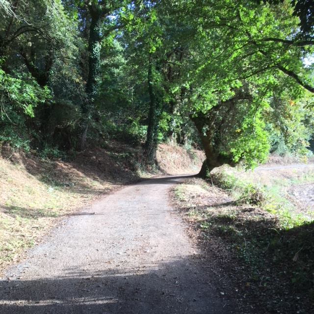 Pensamientos de octubre: ¡Tomad esta belleza, tomad esta luz!