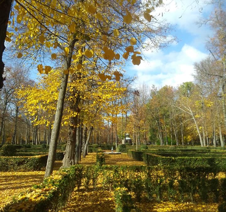 Pensamientos de noviembre: las tiendas celestiales…