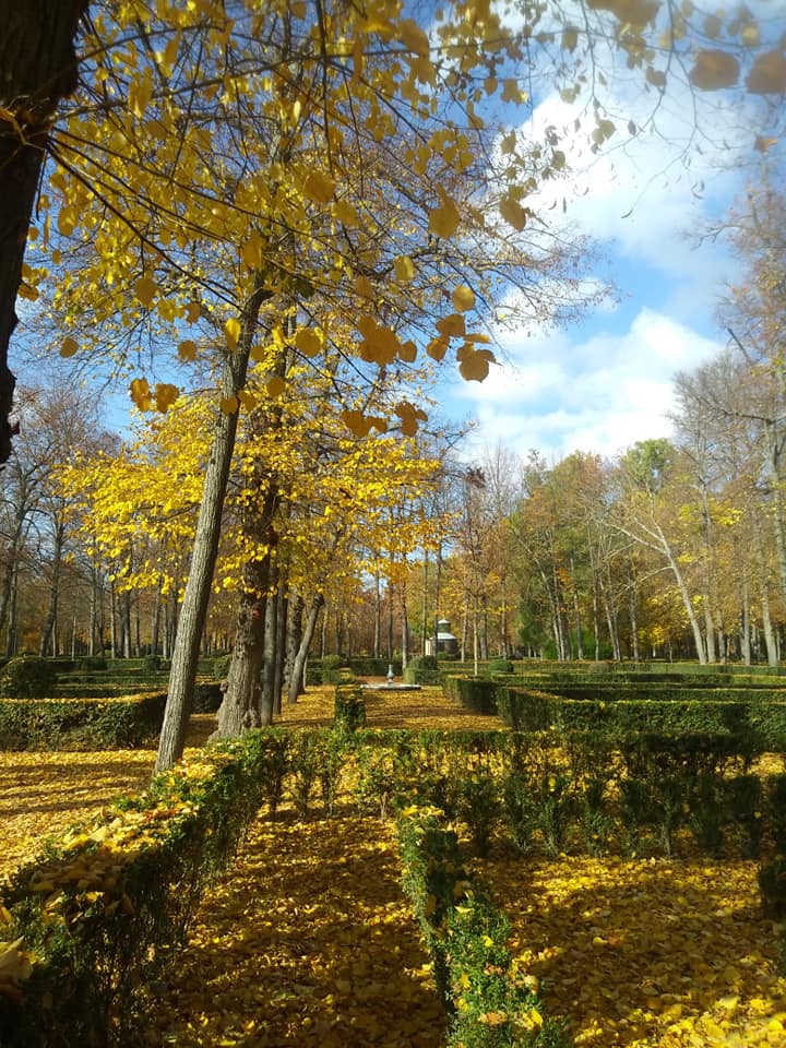 Pensamientos de noviembre: las tiendas celestiales…