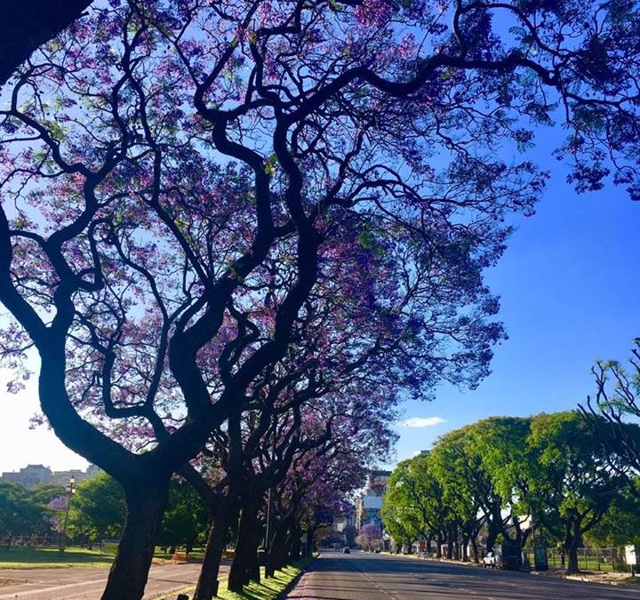 Pensamientos de noviembre: cuando pase la tormenta…