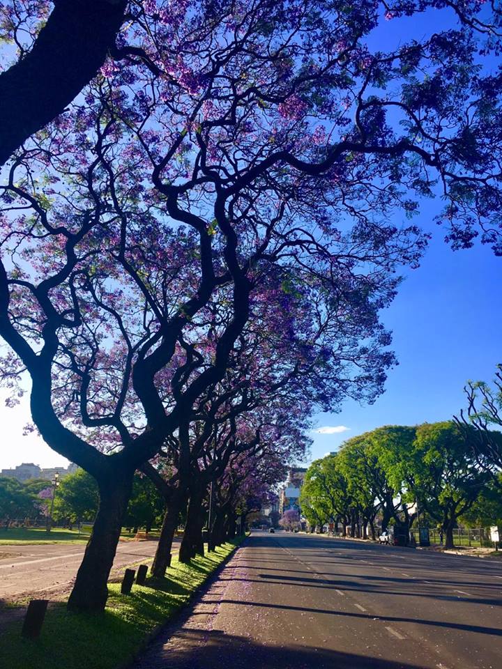 Pensamientos de noviembre: cuando pase la tormenta…