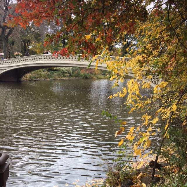 Pensamientos de noviembre: volverse siempre hacia lo alto para buscar