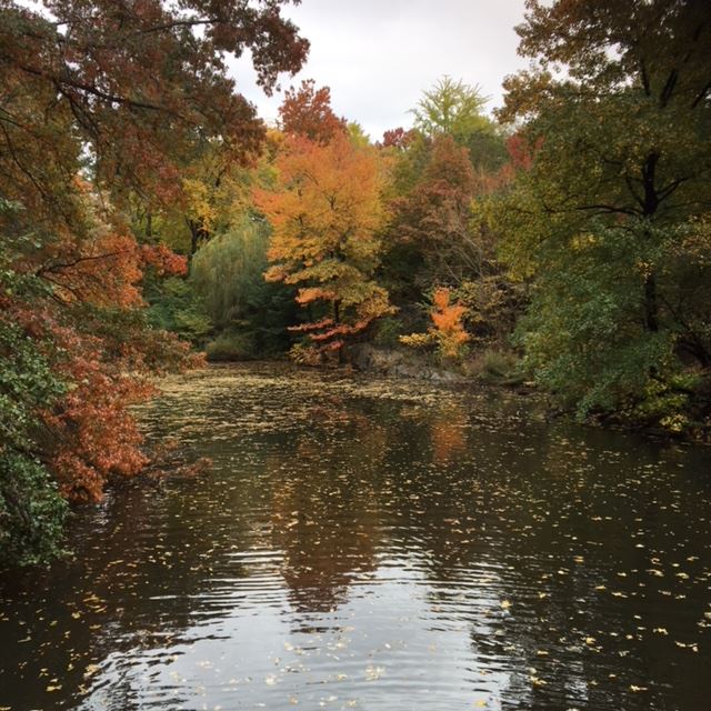 Pensamientos de noviembre: … rodeados de espíritus y de entidades que nos hablan