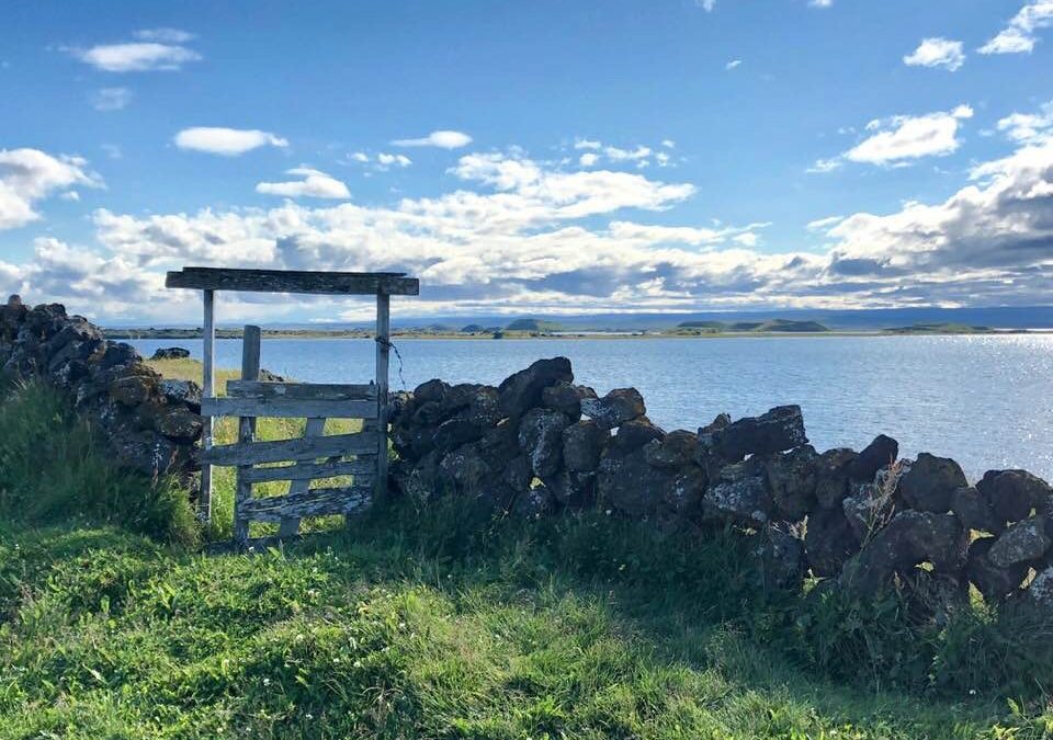 Pensamientos de noviembre: os volvéis más vivos…