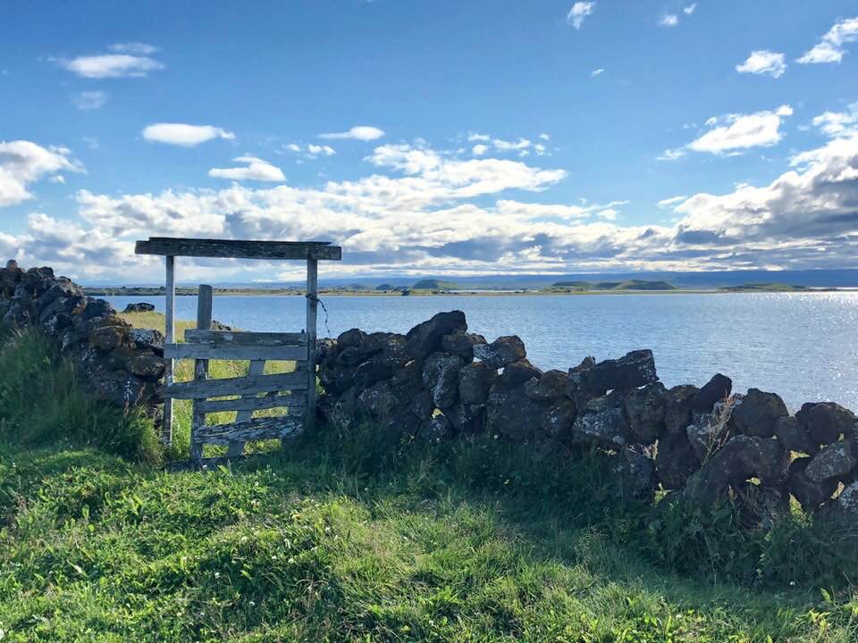 Pensamientos de noviembre: os volvéis más vivos…