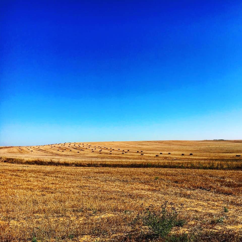 Pensamientos de diciembre: ¿Cómo estoy gastando mis energías?…