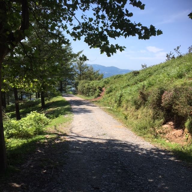 Pensamientos de diciembre: los signos que muestran que actúa de conformidad con el orden divino…