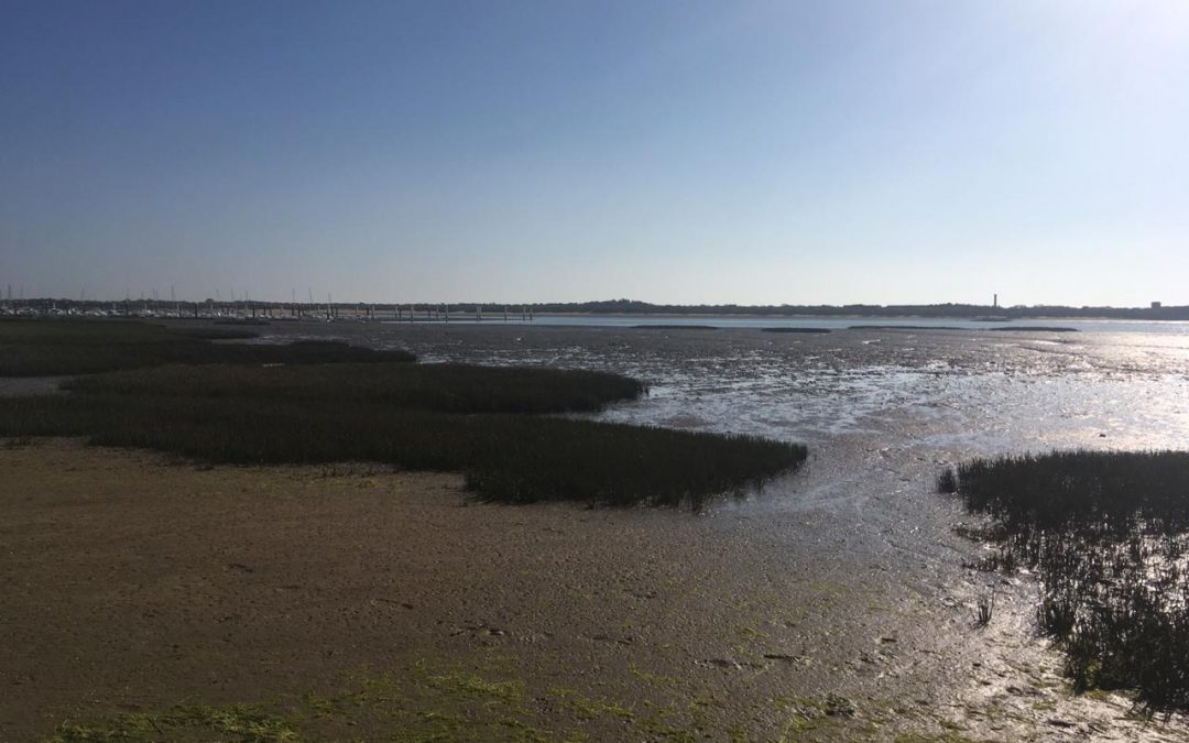 Pensamientos de enero: acercarnos al mundo divino