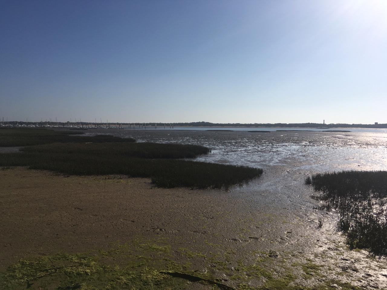 Pensamientos de enero: acercarnos al mundo divino