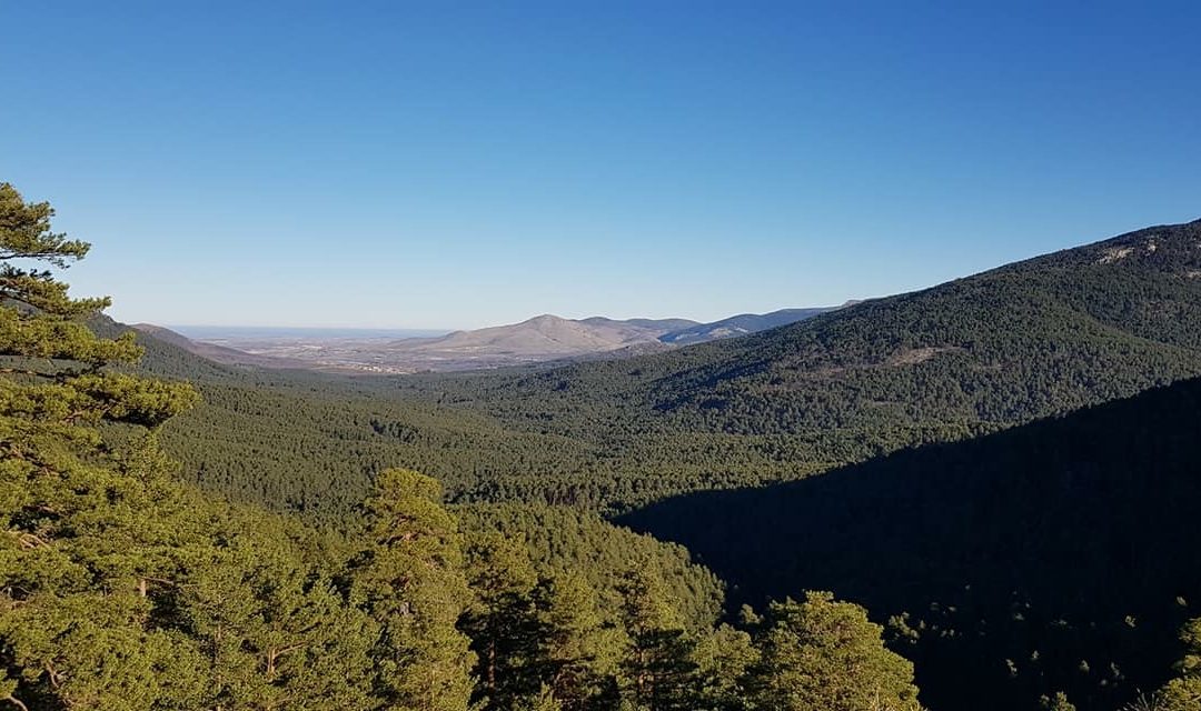 Pensamientos de enero: una aspiración…