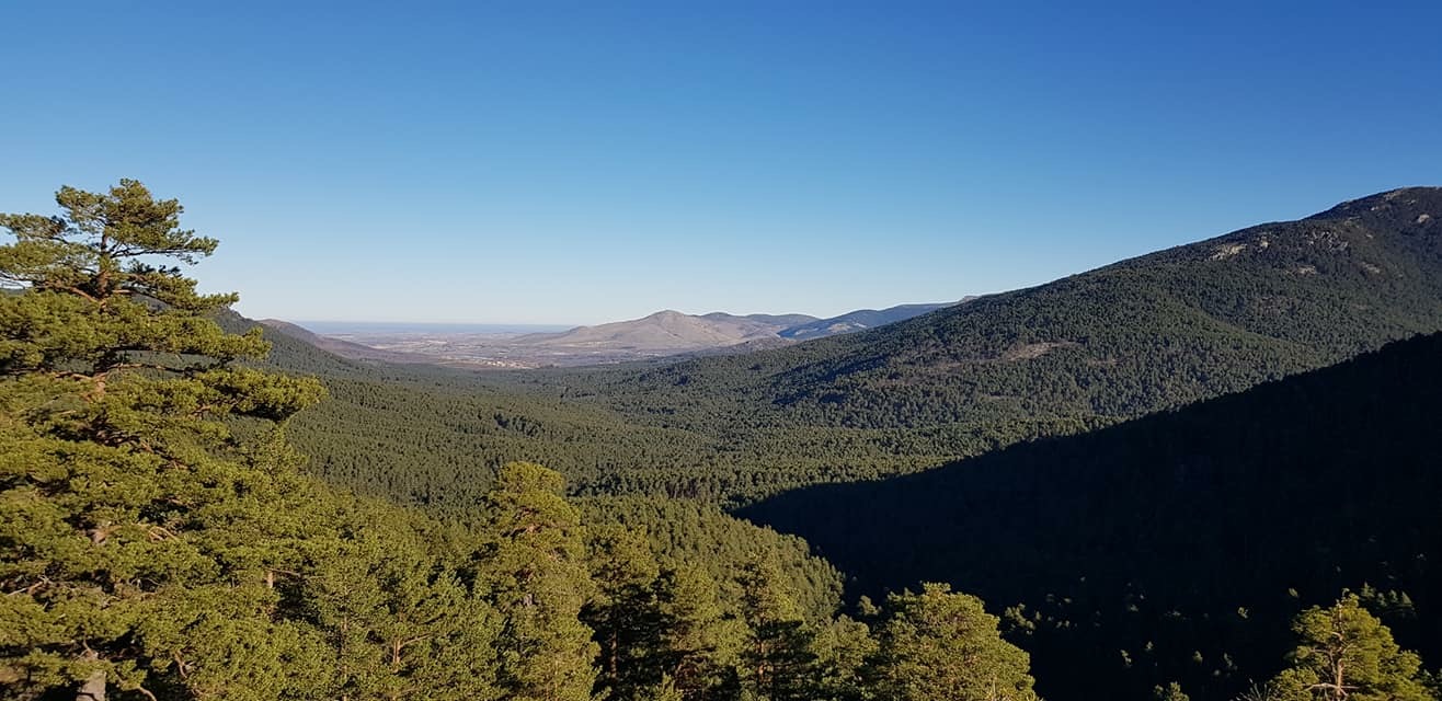 Pensamientos de enero: una aspiración…