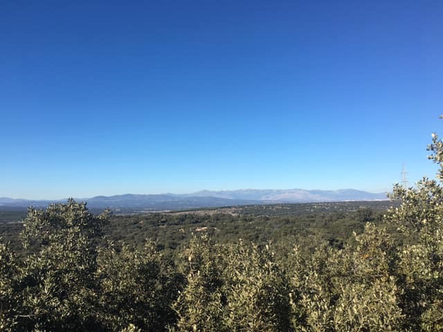 Pensamientos de enero: organizar nuestra existencia alrededor del centro…