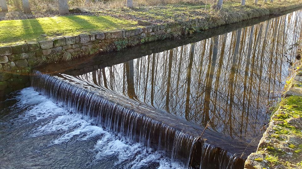 Pensamientos de enero: vivir en nuestro yo divino