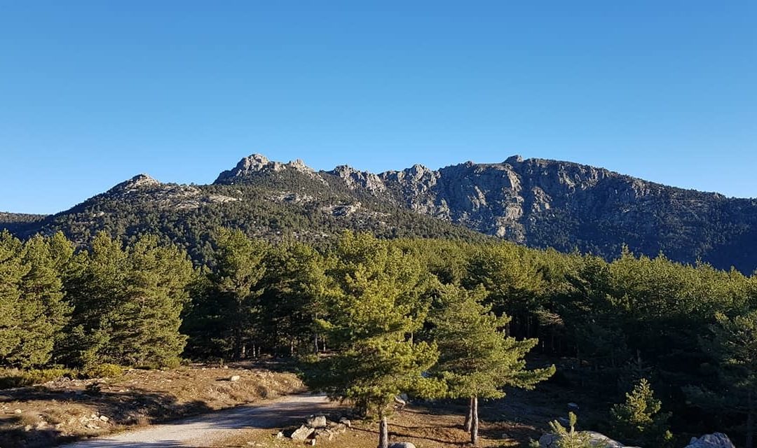 Pensamientos de enero: ¡subid!…